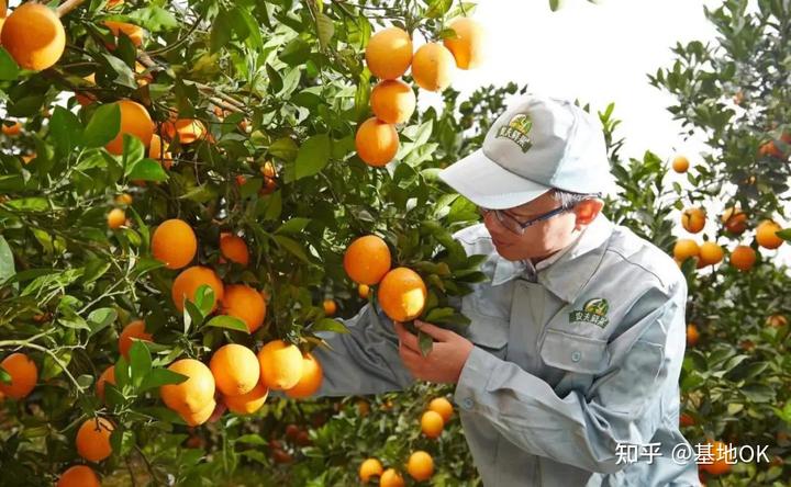 农民种植致富虫_种养致富_养虫致富