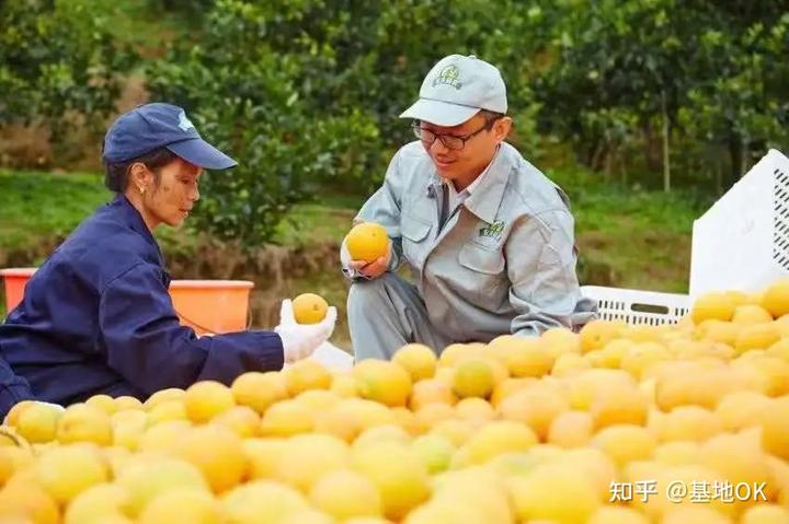 农民种植致富虫_种养致富_养虫致富