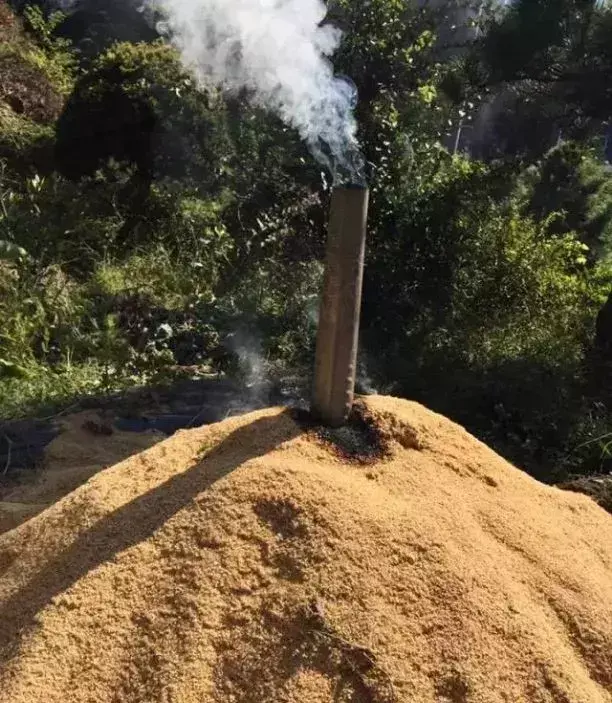 豆子高产种植新技术_豆子种植致富神器_致富神器豆子种植在哪里