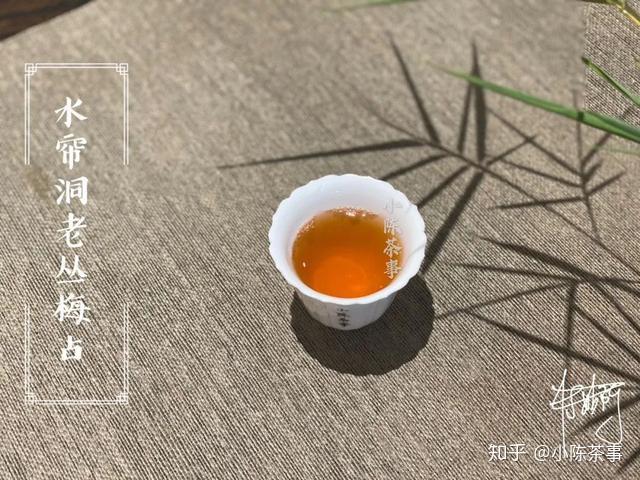 农村种植致富好项目视频_茶农种植致富视频_种植茶叶视频