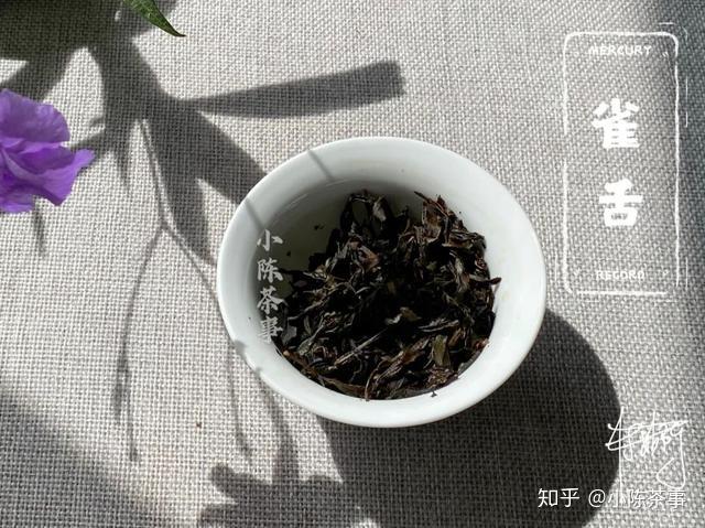 茶农种植致富视频_农村种植致富好项目视频_种植茶叶视频