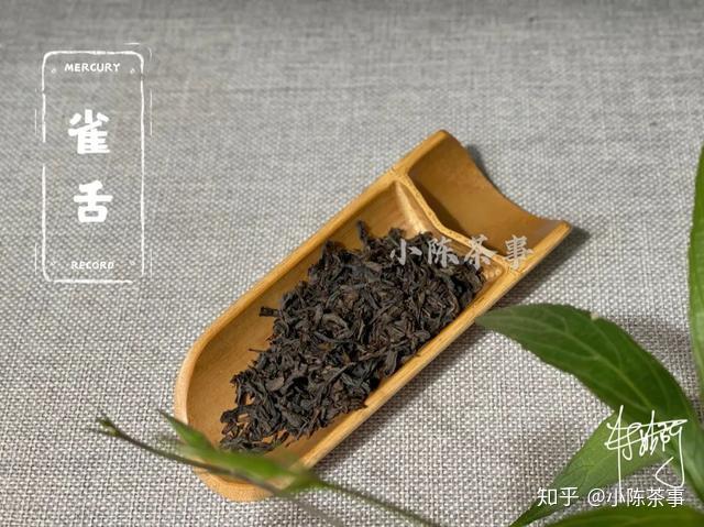 茶农种植致富视频_种植茶叶视频_农村种植致富好项目视频