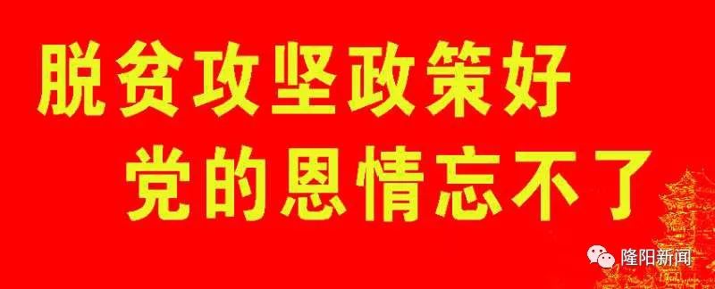 决胜脱贫攻坚丨西邑乡窝脚村：土鸡变成金凤凰 林下养殖助脱贫