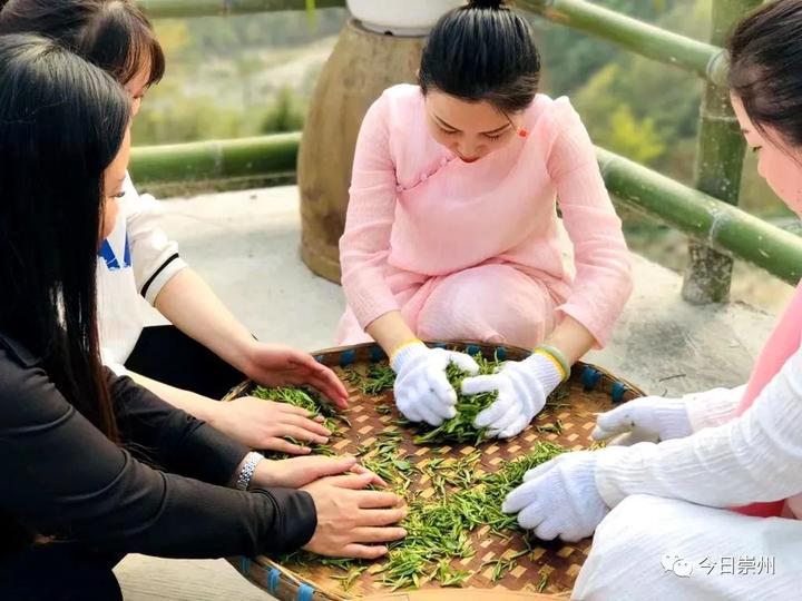 茶农种植致富视频_种植茶叶视频_农村种植茶叶赚钱吗