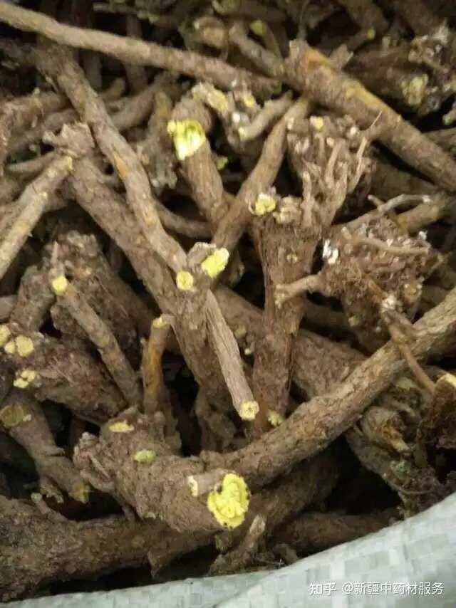 种植药材想要赚钱，一定要会算账