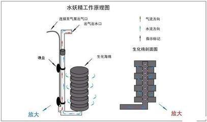 致富经cctv7视频养观赏鱼_养鱼视频致富经_致富经观赏鱼养殖视频