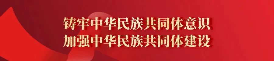 种植枸杞增收致富_致富经枸杞种植视频_种植枸杞的利润与成本