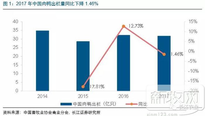 如何看当前肉鸭养殖行业？