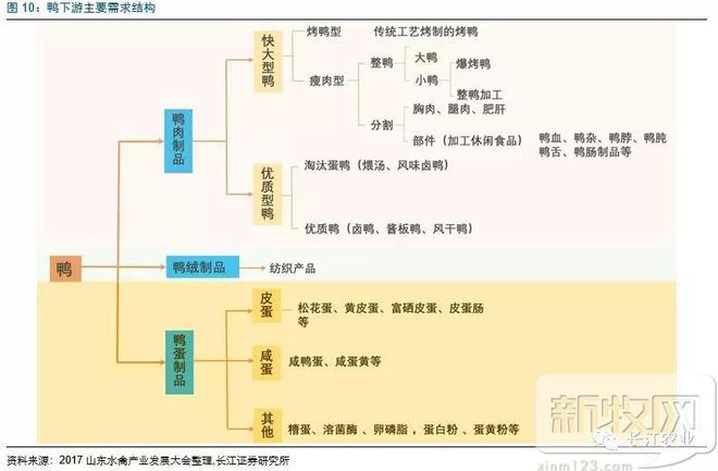养鸭视频每日农经_养殖场鸭子视频_高邮鸭养殖技术视频
