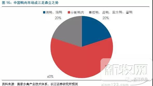养鸭视频每日农经_养殖场鸭子视频_高邮鸭养殖技术视频