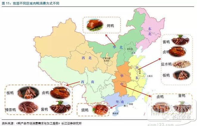 高邮鸭养殖技术视频_养鸭视频每日农经_养殖场鸭子视频