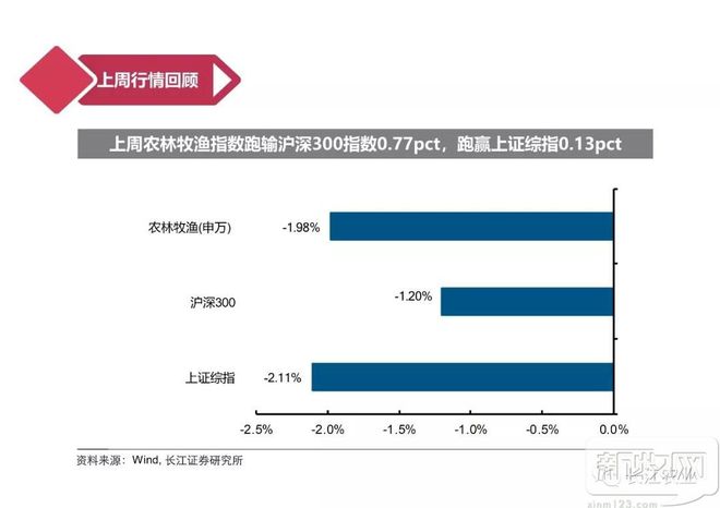 养殖场鸭子视频_高邮鸭养殖技术视频_养鸭视频每日农经