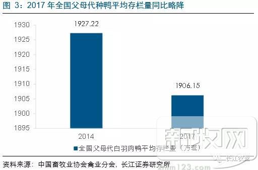 高邮鸭养殖技术视频_养殖场鸭子视频_养鸭视频每日农经