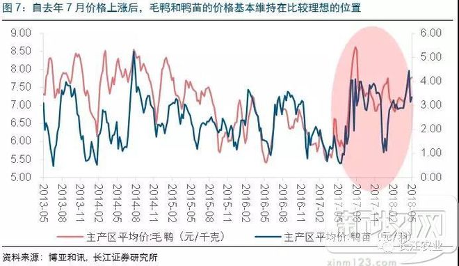 养鸭视频每日农经_高邮鸭养殖技术视频_养殖场鸭子视频