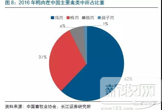 养鸭视频每日农经_高邮鸭养殖技术视频_养殖场鸭子视频