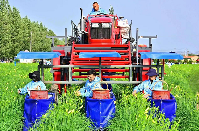 致富网农村项目养殖业_农业养殖种植致富网_致富经农业养殖视频