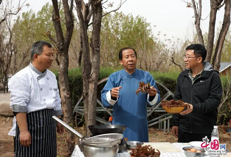 节气看乡村｜香椿绽放致富花 峪口镇贡椿第一村的美味秘密