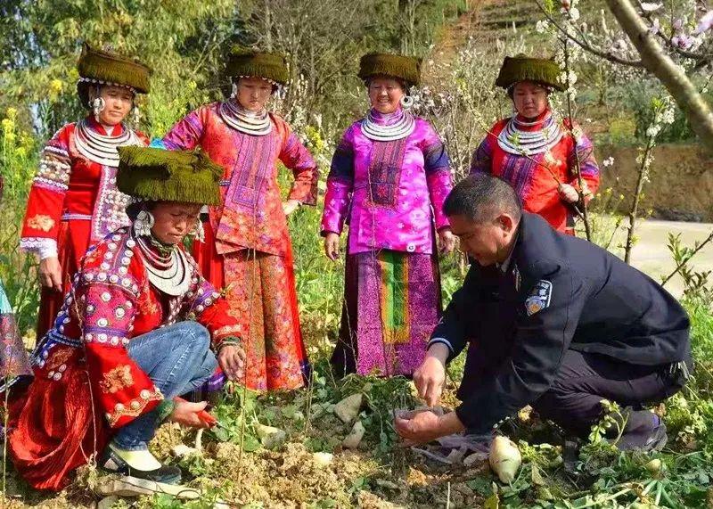 致富之路节目_致富之路电影_种植佩兰致富之路