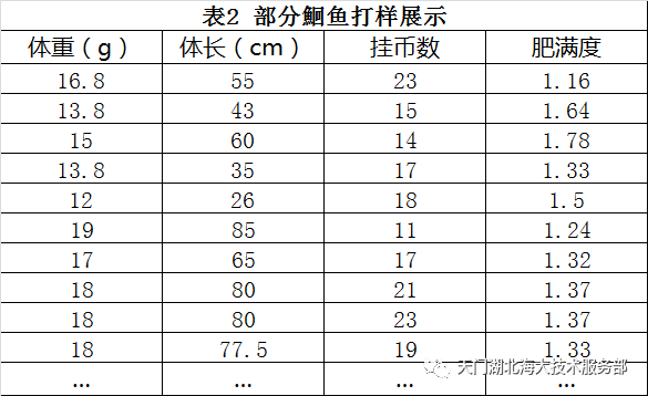 致富经养殖鮰鱼_养殖鳊鱼_养殖鳇鱼