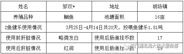 致富经养殖鮰鱼_养殖鳊鱼_养殖鳇鱼