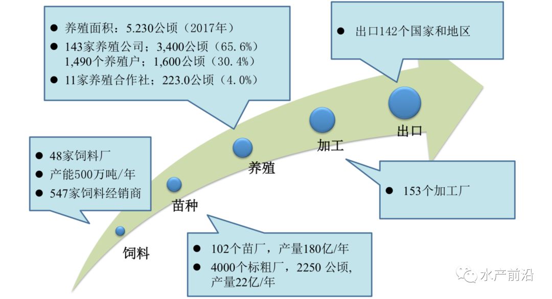 巴沙鱼养殖技术视频_巴沙鱼养殖技术和饲料_巴沙鱼饲料厂家