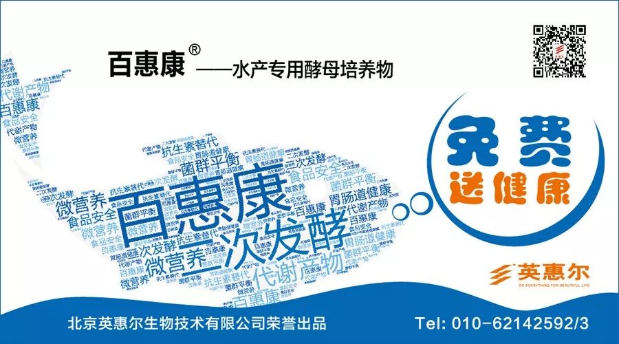 巴沙鱼养殖技术视频_巴沙鱼养殖技术和饲料_巴沙鱼饲料厂家