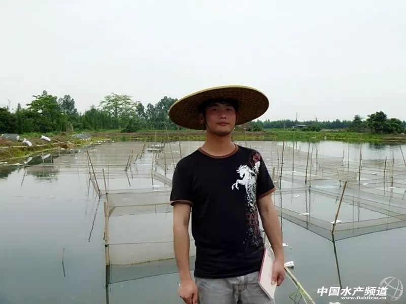 台湾泥鳅养殖前景与利润_台湾泥鳅养殖视频播放_致富经台湾泥鳅