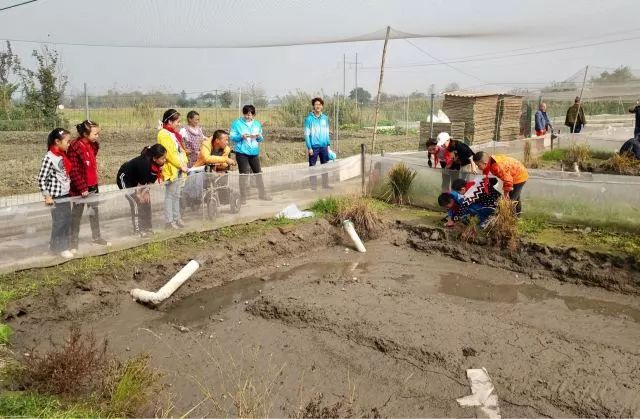 泥鳅养殖户抱团致富_泥鳅养殖致富_致富经红色泥鳅