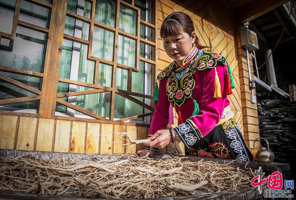 泥鳅养殖致富_致富经红色泥鳅_泥鳅养殖户抱团致富