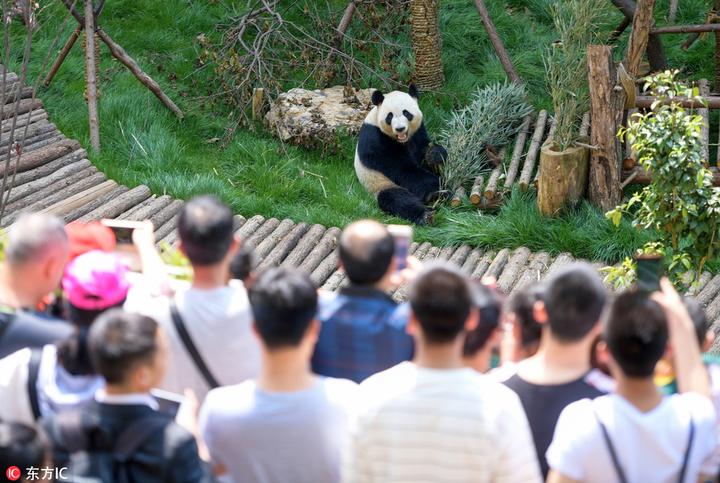 致富经养鸭视频_致富经养鸭子视频_致富养殖视频