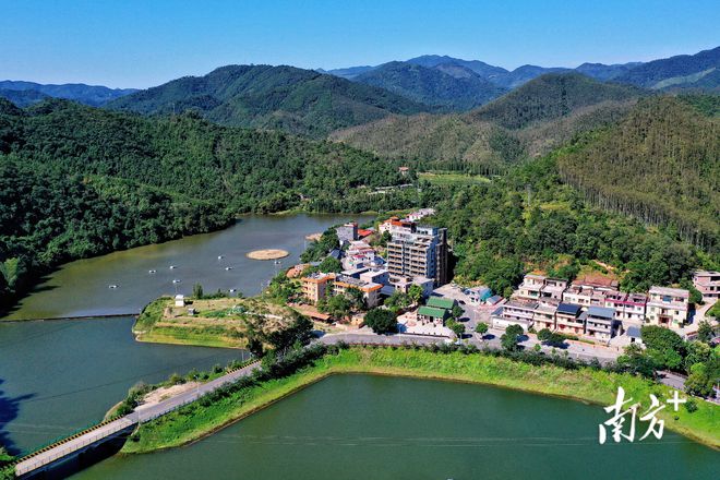 兰花苗基地在什么地方_兰花种植基地技术要求_兰花基地种植技术