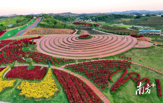 兰花基地种植技术_兰花苗基地在什么地方_兰花种植基地技术要求