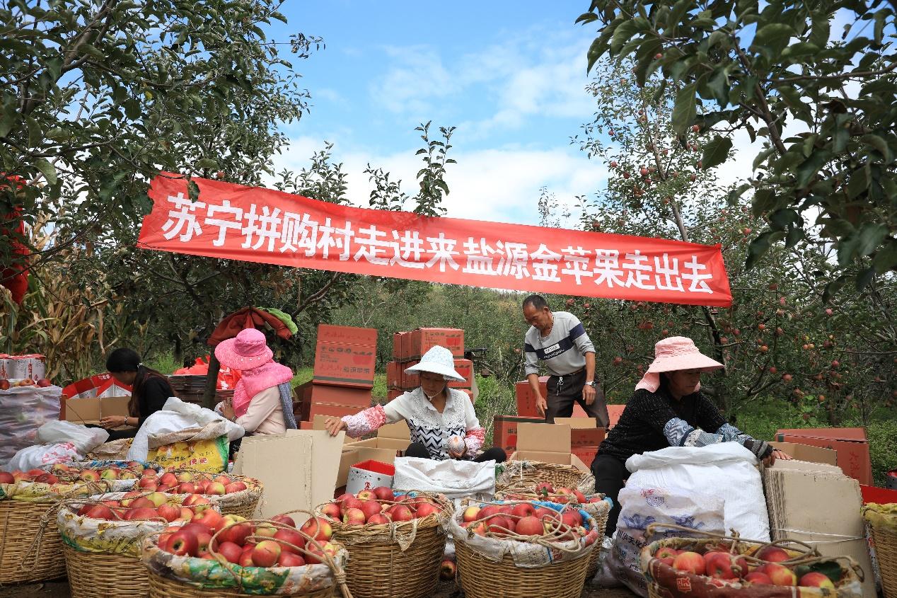 发家致富靠养猪_靠养殖发家致富的学渣_养殖致富经