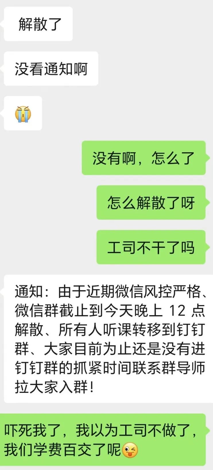 副业种植致富项目_致富种植副业项目有哪些_致富种植副业项目怎么样