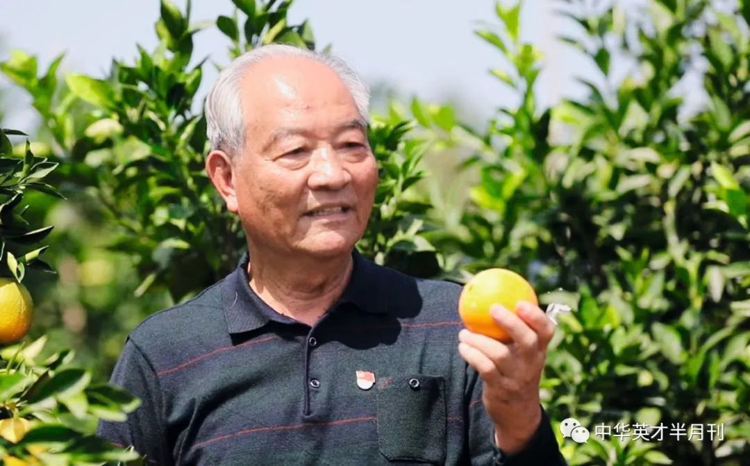 农业节目致富经种植视频_科学种植致富视频_种植致富案例