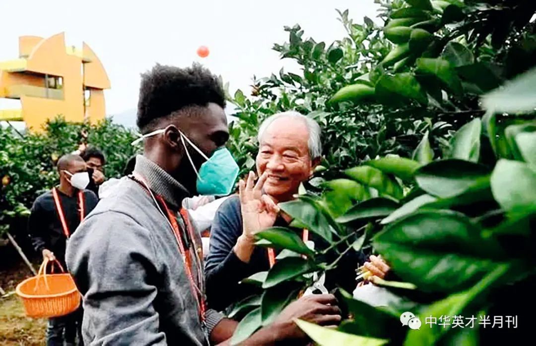 科学种植致富视频_种植致富案例_农业节目致富经种植视频