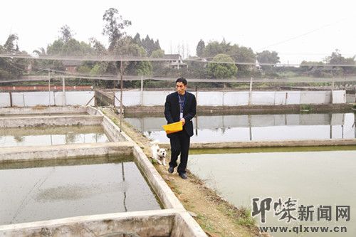 致富经竹笋致富视频_致富经五万元养竹笋鱼视频_竹笋致富经