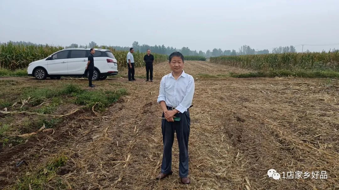 致富种植农业项目小结_农业种植致富小项目_农村致富项目种植业