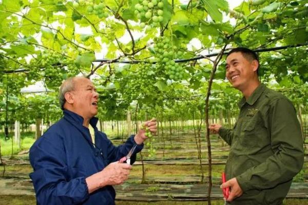 这位“土”得最可爱的老人，让闽北乡村有了致富“法宝”！∣遍地英雄下夕烟 ㊷