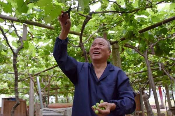 这位“土”得最可爱的老人，让闽北乡村有了致富“法宝”！∣遍地英雄下夕烟 ㊷