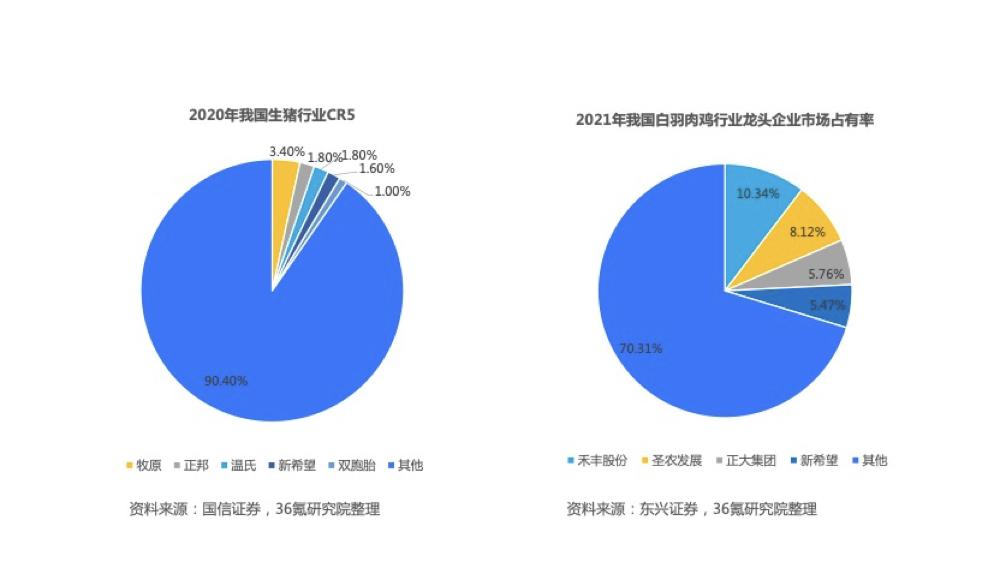 石硅养殖技术_石硅养殖还有出路吗_硅石养殖技术要求