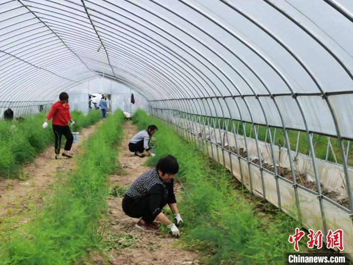 农村养殖致富项目标语_扶贫养殖基地标语怎么写_扶贫标语 养殖致富