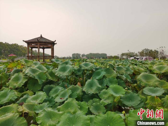 扶贫养殖基地标语怎么写_扶贫标语 养殖致富_农村养殖致富项目标语