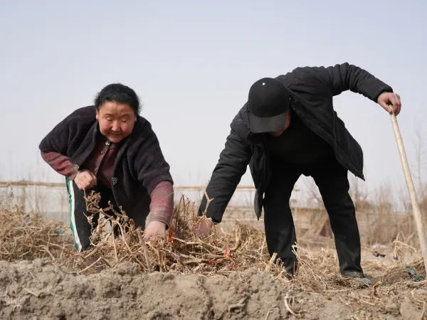 致富经自助农场视频_自助视频致富农场下载_农村致富视频全集