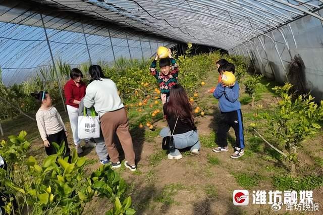 致富农场app下载_致富经自助农场视频_自助视频致富农场是真的吗