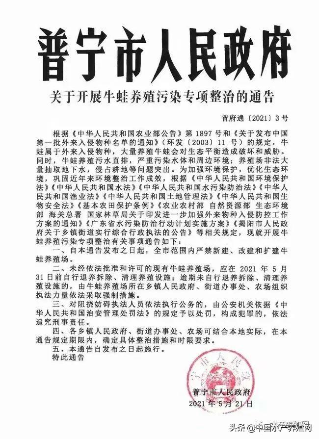 牛蛙养殖致富案例_致富经牛蛙养殖技术视频_养殖牛蛙赚钱吗