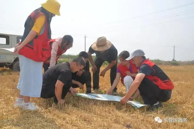 粮食种植大户怎么申请绿色食品_绿色粮食种植致富_致富粮食种植绿色农业