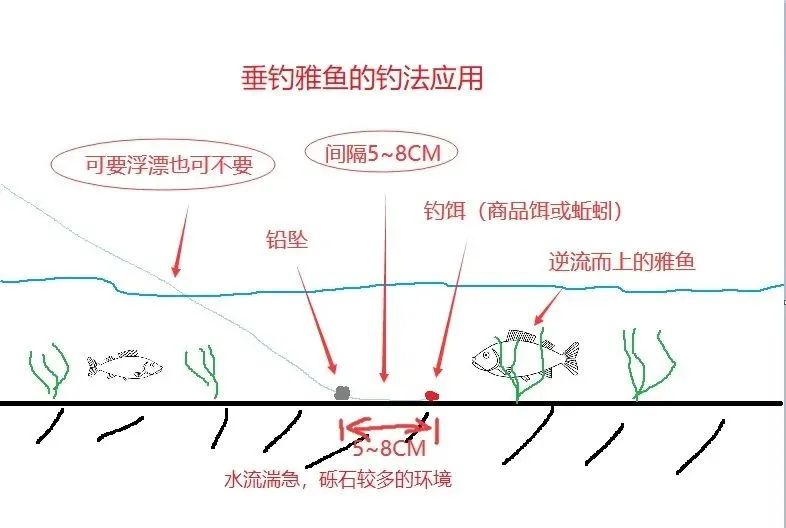 雅鱼养殖用什么饲料_雅鱼养殖技术_雅鱼养殖