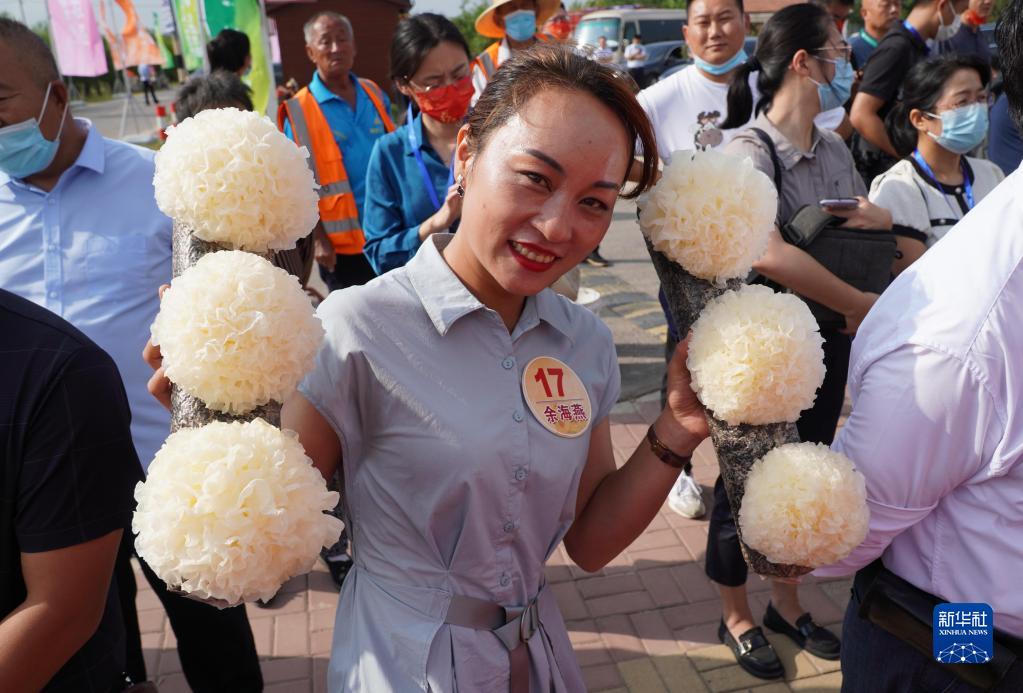 农民种植致富节目_农业节目致富经_农村致富节目