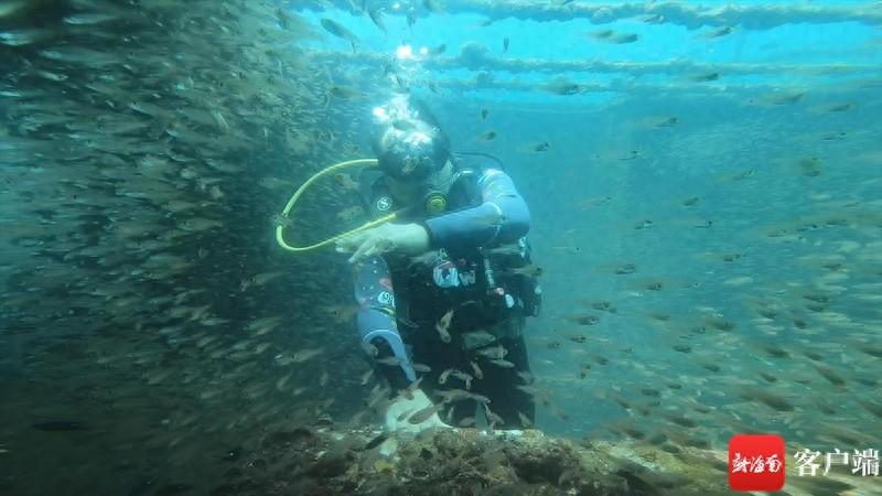 海洋种植致富项目_海洋种植技术_海洋养殖产品